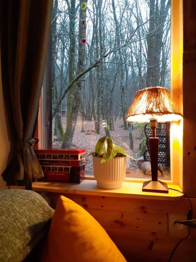 Le Gite De La Cabane De L'Oiseau Couze-et-Saint-Front Dış mekan fotoğraf