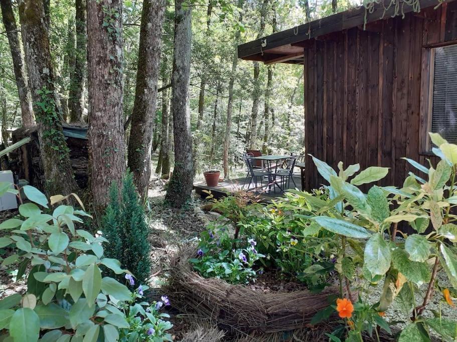 Le Gite De La Cabane De L'Oiseau Couze-et-Saint-Front Dış mekan fotoğraf